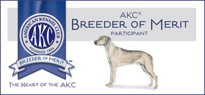 akc breeder of merit