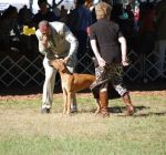 Filename=Ceci 3.jpg
Filesize=42KiB
Dimensions=429x401
Date added=Dec 18, 2010 Ceci 3.jpg