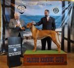 Filename=Puerto Rico 10-22 to25 2009 018.jpg
Filesize=255KiB
Dimensions=1422x1302
Date added=Nov 05, 2009 Puerto Rico 10-22 to25 2009 018.jpg