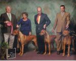 Filename=Stud Dog Winners.jpg
Filesize=104KiB
Dimensions=1000x808
Date added=Oct 29, 2011 Stud Dog Winners.jpg
