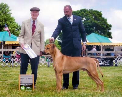 Tacker Breed May 29 2010.jpg