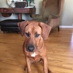 Filename=disa~1.jpg
Filesize=57KiB
Dimensions=800x800
Date added=Aug 17, 2015 disa~1.jpg